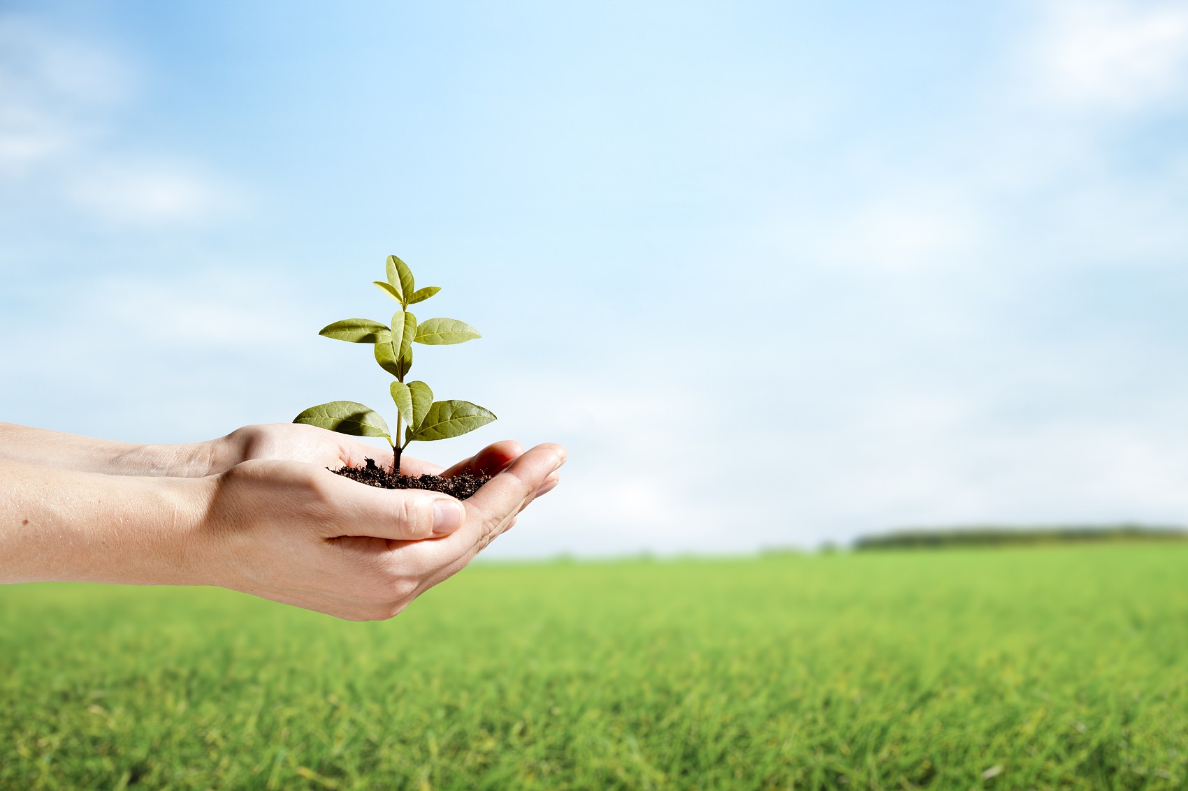 省節(jié)能協(xié)會(huì)袁亮秘書長、遂寧檢測公司戴云峰總經(jīng)理一行蒞臨天晟源環(huán)保座談交流