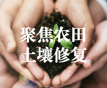 聚焦農(nóng)田土壤修復(fù)，保障糧食產(chǎn)品安全 ——踔厲奮發(fā)、篤行不怠，以奮斗之姿獻(xiàn)禮黨的二十大